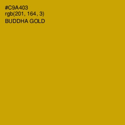 #C9A403 - Buddha Gold Color Image